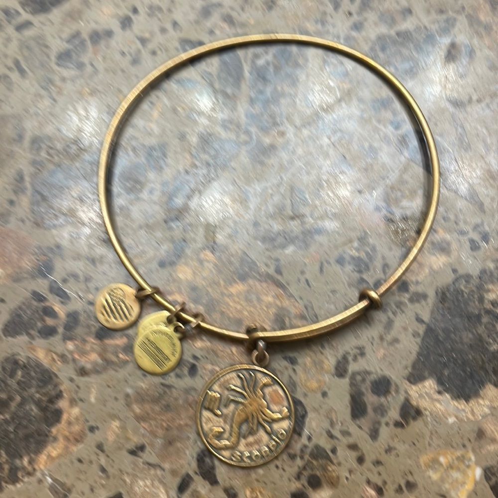 Alex and Ani bracelet